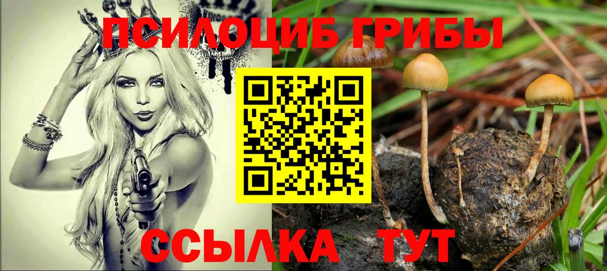 Галлюциногенные грибы MAGIC MUSHROOMS Волгодонск