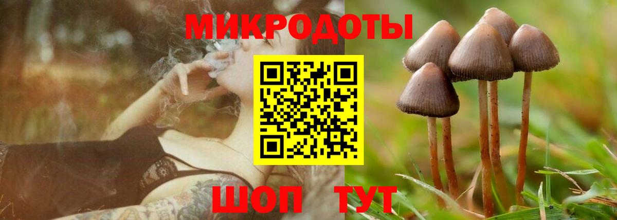 Псилоцибиновые грибы GOLDEN TEACHER  Вход с VPN  цены   Волгодонск 